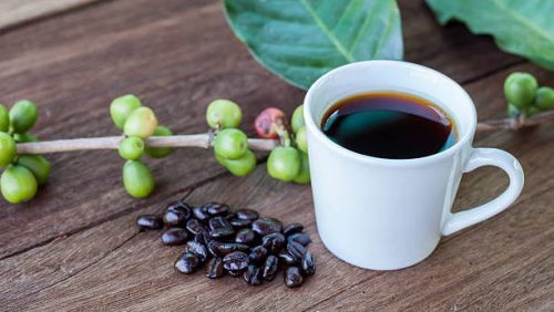 Coffee Betel Nut